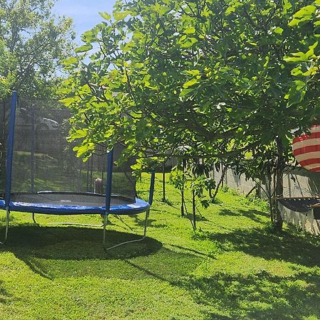 La Pergola Hotel Fažana Екстериор снимка